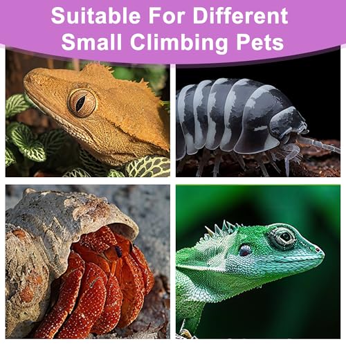 6pcs Mini Silicone Reptile Water Bowl and Tortoise Food Bowl, Colorful Reptile Water Dish and Feeding Dish for Gecko Tarantula Spider Small Lizards Millipede Small Animal Feeding Bowls - Image 6