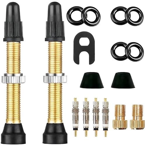 Kit de Válvula Tubeless MTB 40mm sin Camara para Bicicletas, Valvula Presta de Aire, Vástago Presta, Valvula, Núcleo, Adaptador, Llave de Extracción obús, Juntas, Tapones Tuerca (Pixlatto A21)