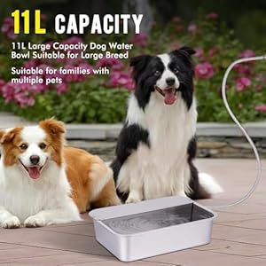 3Gal Automatic Dog Water Bowl Dispenser Large Breed Stainless Outdoor Water Bowl for Dogs Pet Waterer XLarge Auto Fill Dog Waterer for Big Dogs Cats Chicken Livestock (15.7" X 11.8") 3Gal Automatic Dog Water Bowl Dispenser Large Breed Stainless Outdoor Water Bowl for Dogs Pet Waterer XLarge Auto Fill Dog Waterer for Big Dogs Cats Chicken Livestock 157 X 118