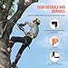 VEVOR Tree Climbing Spikes Set, 1 Pair Alloy Steel Climbing Spurs with Safety Rope and Safety Harness, 350lbs Load Capacity Tree Climbing Gear, Arborist Equipment for Climbers, Fruit Picking, Orange
