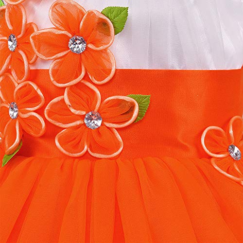 Image of Wish Karo Baby girl Knee Length Frock Dress