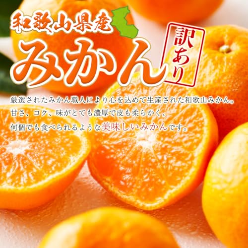 美味いとこどり みかん 訳ありみかん 和歌山県産 青秀みかん 完熟 甘い (大粒L~LLL 5kg) の商品画像 1