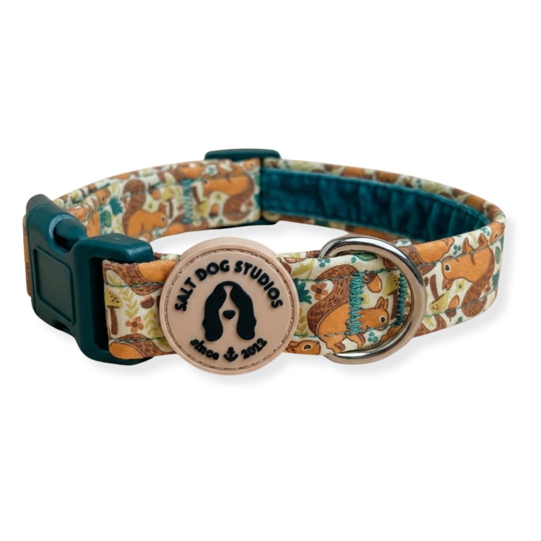 Woodland Dog Collar – Adjustable Velvet Lined Dog Collar for Small, Medium, Large & Extra Large Dogs – Soft Comfortable Fabric Collar by Salt Dog Studios (Squirrels, Medium)