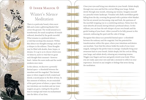 Year of the Witch 2026 Weekly Planner Calendar: Seasonal Intuitive Magick - Image 6