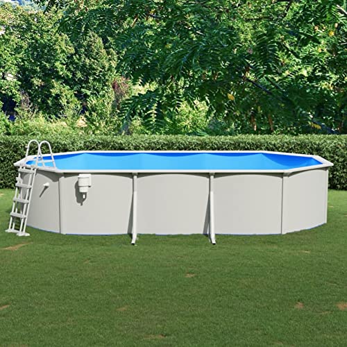 Sufrk Piscina con escalera de seguridad de 610 x 360 x 120 cm, estructura de acero con bomba de filtro, piscinas con marco sobre el suelo