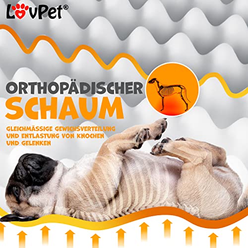 Lovpet® Hundebett orthopädisches Hundekissen Hundekorb Cookie, Inkl. Napf + 3X Kauknochen, Hundesofa für Kleine, Mittelgroße & Große Hunde, Bezug abnehmbar und waschbar, M 76x51x7,6 cm Anthrazit