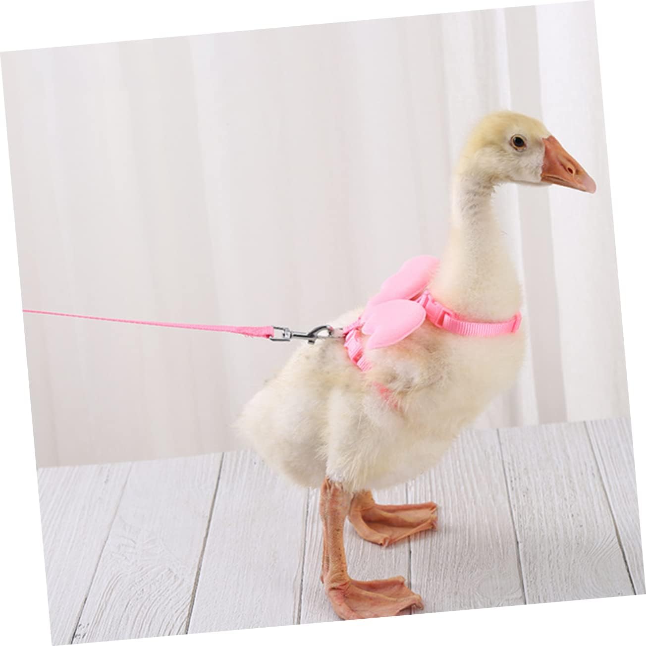 BESPORTBLE Adjustable Pet Traction Leash for Ducks and Geese Durable Walking Rope Pink for Outdoor Training and Everyday Use Breathable and Comfortable Design