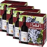 サルー カベルネソーヴィニヨン バッグインボックス [ 3000mlx4本 ]