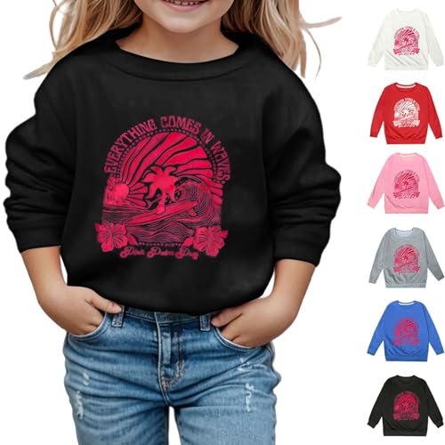 Little Girls Sweatshirts Cotton Long Sleeve Crewneck Pullover Shirt Toddler Kids Y2K Printed Top (Pi