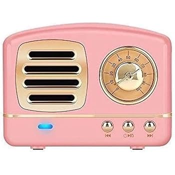 speaker dan mic portable