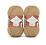 TROYARN Summer Stretch Yarn for Crochet and Knitting, 2 Skeins, 200g Total, 876 Yards (800 m), Soft Elastic Acrylic Blend for Bikinis, Tops, Bags and Lightweight Summer Projects, Light Beige 114368