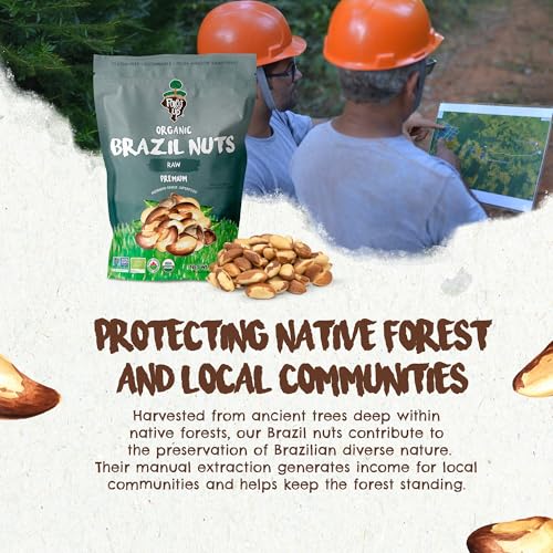 Image of Snack The True Organic Brazil Nuts 7 oz - Raw and Unsalted - Kosher - Healthy-Rich in Vegetable Protein - Harvested in Amazon Rainforest - Fresh, Vegan and Gluten Free - Forest Up