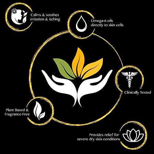 Shikai - Daily Moisturizing Shower Gel, Rich In Aloe Vera & Oatmeal To Leave Skin Noticeably Healthier (Yuzu, 12 Ounces, Pack Of 3) #TOP3