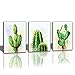 Hongwu Canvas Wall Art Cactus Plant Painting 3 Piece Canvas Prints Succulent Cactus Pictures Stretched and Framed Ready to Hang for Home Office Wall Decor 12x16inch