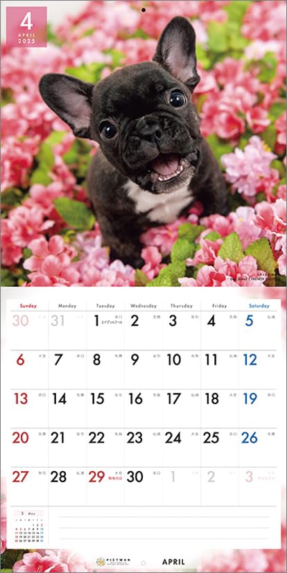 Amazon.co.jp: PICTWAN(ピクトワン) 【L版】 フレンチ・ブルドッグ