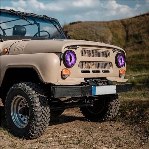 Image of Beast Eyes Headlight Decals - Pair of Round 3D Stereo Eyes Headlight Decal Stickers for Jeep, Truck & Car Body Window Bumper Decoration (#06)