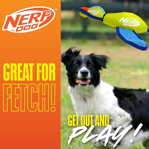 Nerf Dog Launching Duck with Crinkle Wings, 16.5 Inch Ultraplush Interactive Toy for Dogs, Green/Light Blue