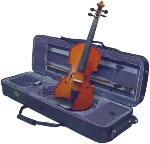 3000 Series Violin Outifts VN3012 Electric Violin, Amber