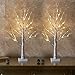 EAMBRITE Set of 2 2FT 24LT Warm White LED Birch Tree Light Tabletop Bonsai Tree Light Jewelry Holder Decor for Home Party Wedding Holiday
