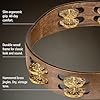 Meinl Percussion Traditional Wood Tambourine - 2-Row Tambourine - 10-inch Diameter - Siam Oak / Brass, Walnut Brown / Natural (TA2V-WB) #2