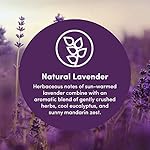 Clean Revolution Foaming Hand Soap Refill Supply Container. Ready to Use Formula. Natural Lavender Fragrance, 128 Fl. Oz - Image 2