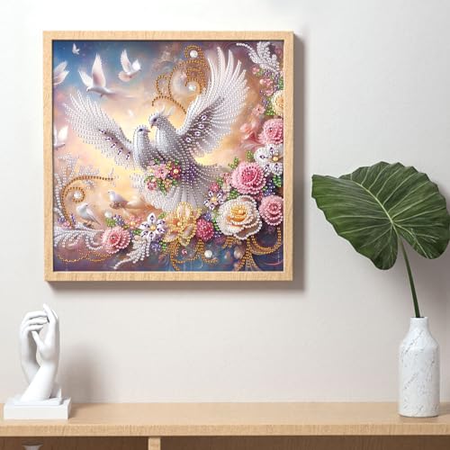 Image of AiYuanzsh Diamond Art Painting Kits for Adults, 5D Special Shape Diamond Art Kits for Beginners, Crystal Rhinestones Diamond Painting for Home Wall Decoration Gift 12x12 inch, Happy White Dove