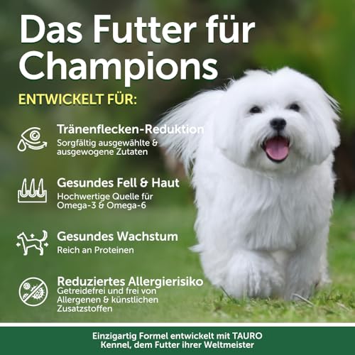 Nature's Protection Superior Care Hundefutter Trocken Getreidefrei für Alle Kleine & Mini-Rassen - Hypoallergenes Hundefutter mit Weißfisch, Trockenfutter für Erwachsene Hunde, 10kg