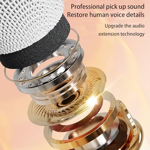 Altavoz de karaoke pequeño con micrófonos inalámbricos recargables para casa 6