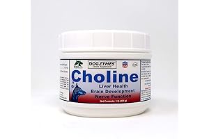 Dogzymes Choline Aids in Brain Function and More