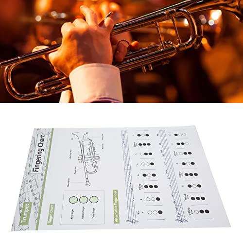 Trumpet Fingering Practice Chart Poster
