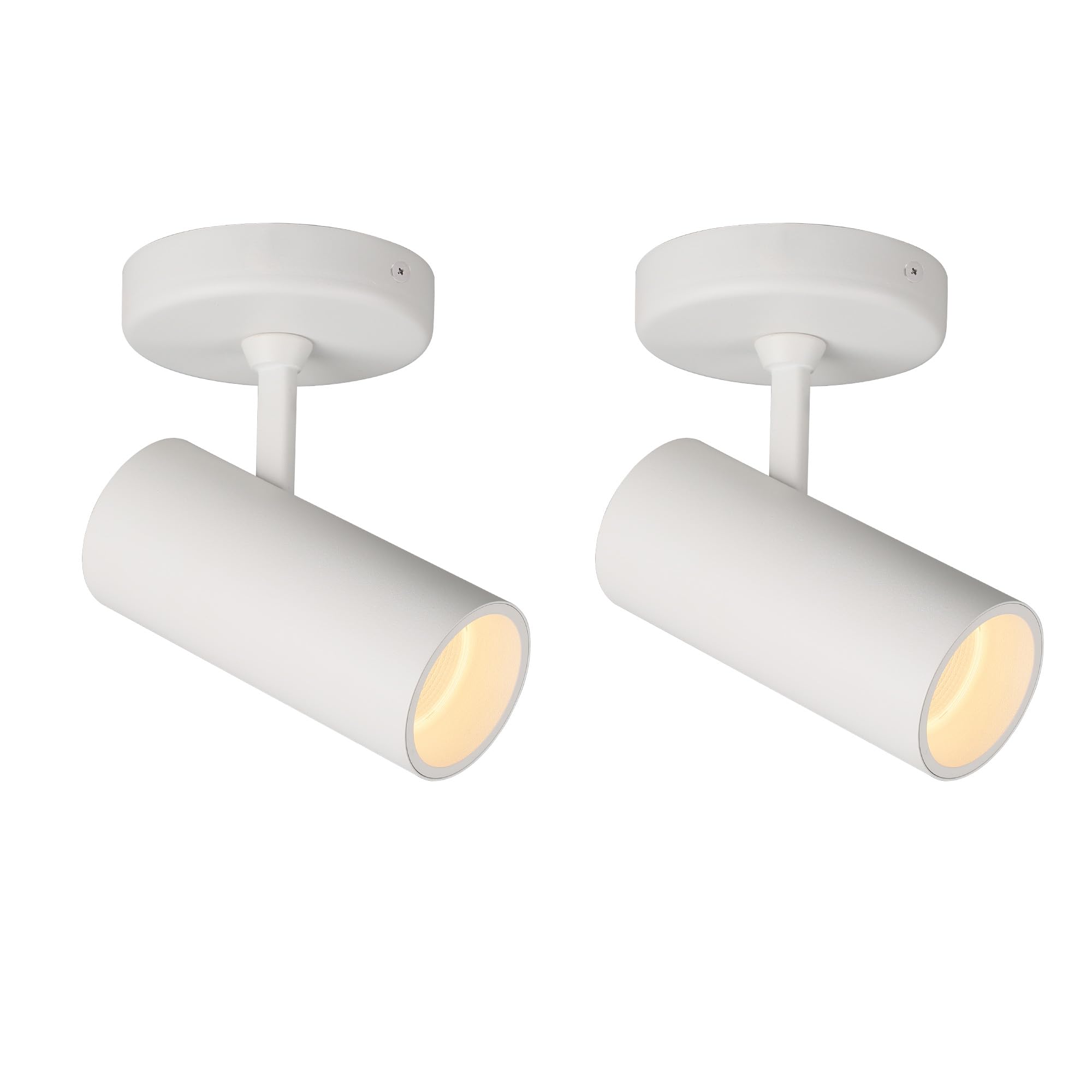 Aisilan 2 Pack 9W LED Modern Directional Dimmable Spot Light Indoor, Adjustable Angle Wired Ceiling Spotlight Lamp for Living Room, Painting, Artwork Accent Lighting - Warm Light 3000K, CRI 97
