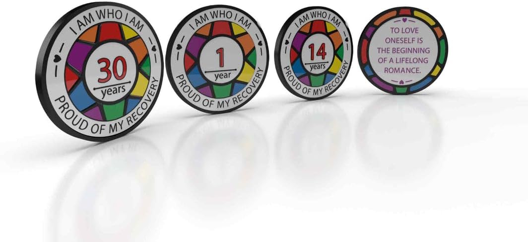 リカバリー プライド メダリオン 1-50 リカバリー AA チップ 地味なメダリオン(9年目)