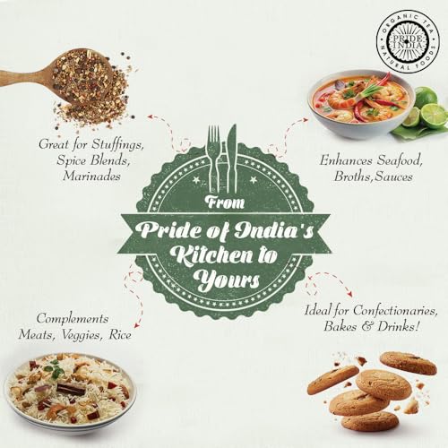 Pride of India – Fennel Seed Whole – Gourmet Spice – Fresh & Aromatic – Mouth Freshener – GMO/Gluten Free – Flavoring for bakes, meat & more – Easy to Use – 8 oz. Medium Dual Sifter Jar