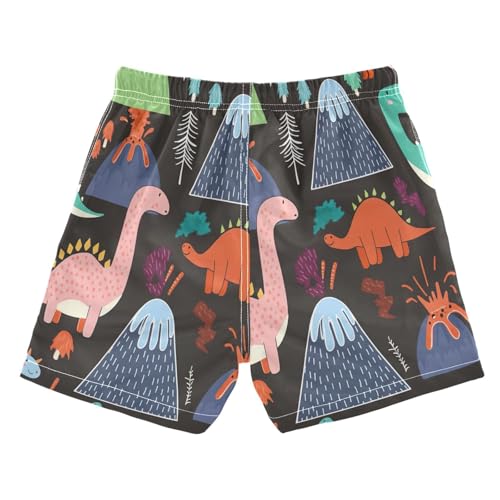 Swimming Shorts for Boys, Swimwear for Toddler Boys 2t, Cute Dinosaurs2