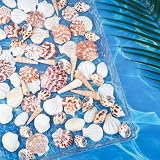 Natural Sea Shell Mixed Ocean Shells Set, 0.8"-2.5" Various Sizes Seashell, Scallop & Conch Shells for Beach Themed Decor, DIY Crafts, Vase Fillers, Fish Tank, Home, Wedding and Party Decoration