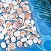 Natural Sea Shell Mixed Ocean Shells Set, 0.8"-2.5" Various Sizes Seashell, Scallop & Conch Shells for Beach Themed Decor, DIY Crafts, Vase Fillers, Fish Tank, Home, Wedding and Party Decoration