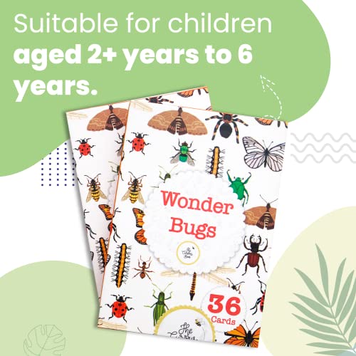Image of Wonder Bugs | 36 Laminated Anti-Glare Cards | Montessori Inspired Fun & Easy to Learn Toys for Kids