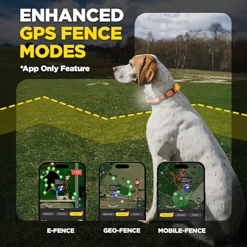 Image of Dogtra PATHFINDER2 MINI Compass Live GPS Dog Tracking & Training System - 4-Mile Range E-Collar Handheld with No Subscription, Offline Maps, GPS Fence, Expandable up to 21 Dogs, for Dogs 15+ lbs