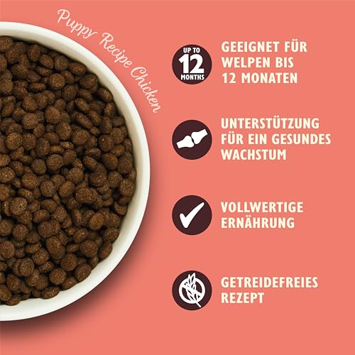 Lily's Kitchen Mit natürlichen Zutaten hergestellt Trockenfutter für Welpen, Lachs & Erbsen Getreidefreie Rezeptur 2.5kg Beutel