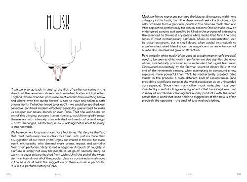 Perfume: In Search of Your Signature Scent - Image 10