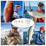 Zdhsufnvw B0FPC9Y23B lato 4