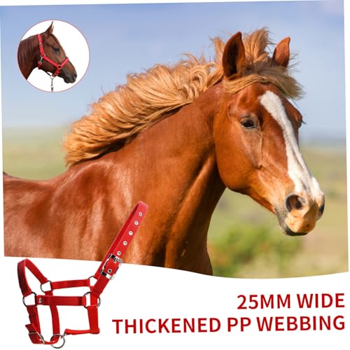 Cabestros para caballos de cuerda ajustables con correas de PP gruesas 7