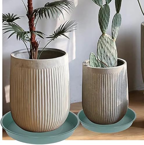 Bleuhome Piattino Per Piante Da Giardino (66 Cm, Verde) - 7