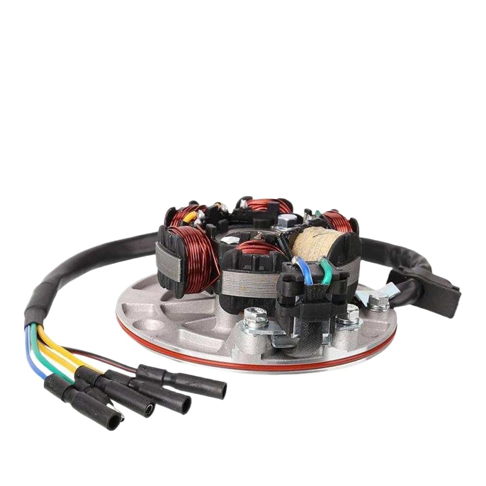 Piastra Statore Magnetica Per Motore 140cc Avviamento A Pedale Compatibile Con Pit Bike Fuoristrada