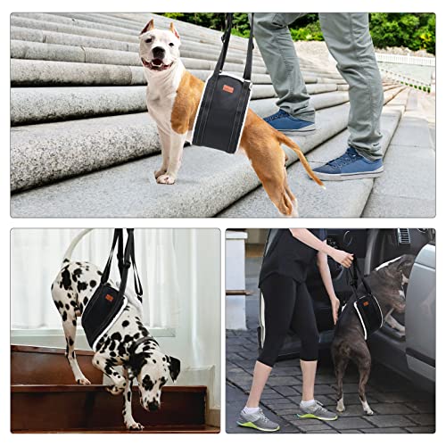 Small Dog Mobility Aids Support Sling For Back Legs, Adjustable Dog Lifting Harness to Lift Pets Hind Front Rear for Canine and Old K9 Cruciate Ligament Rehabilitation - Image 5