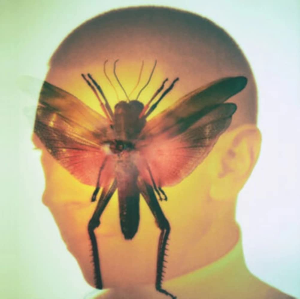 Rhizome [VINYL]