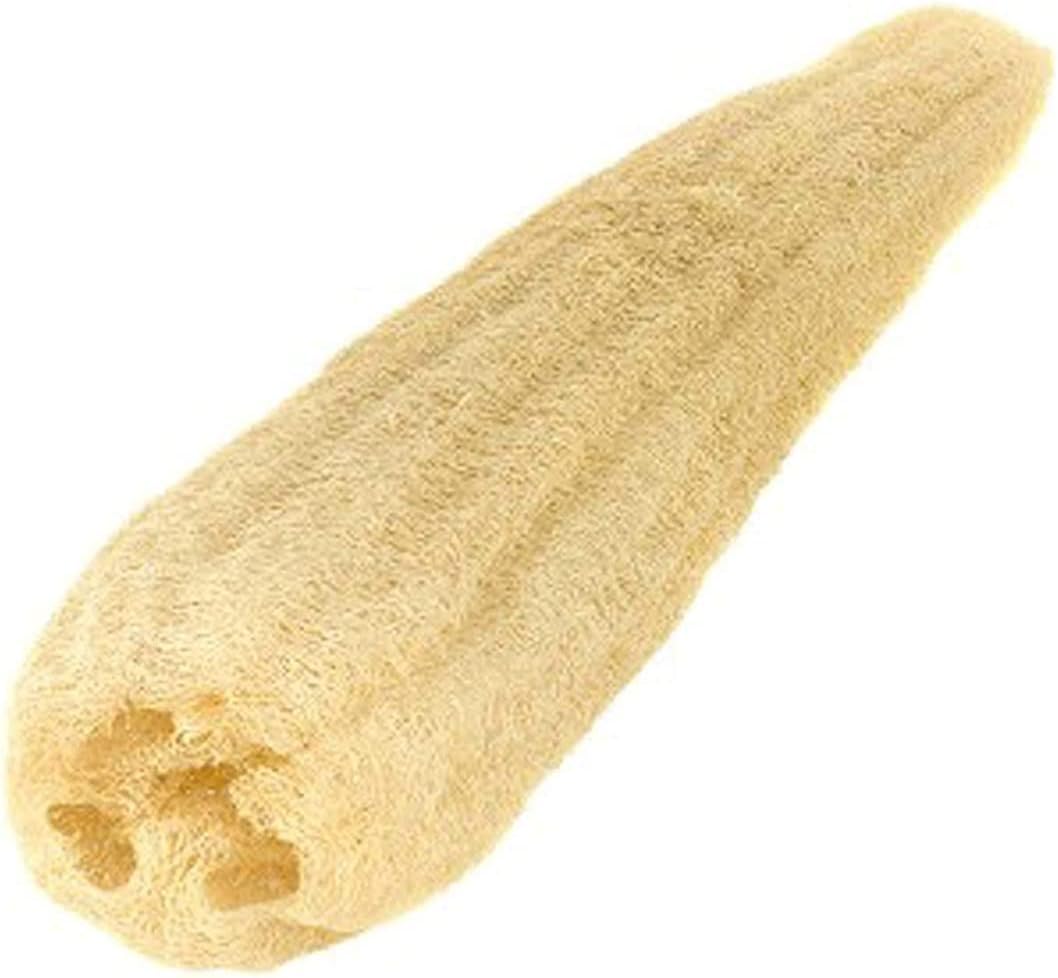 METROL Natürlicher Luffa (5 Stück, beige)