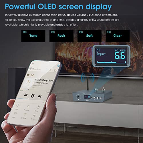 Hifi Tube Bluetooth Preamp Receiver Balanced Xlr/Rca Pre-Amplifier Headphone Amp #TOP3