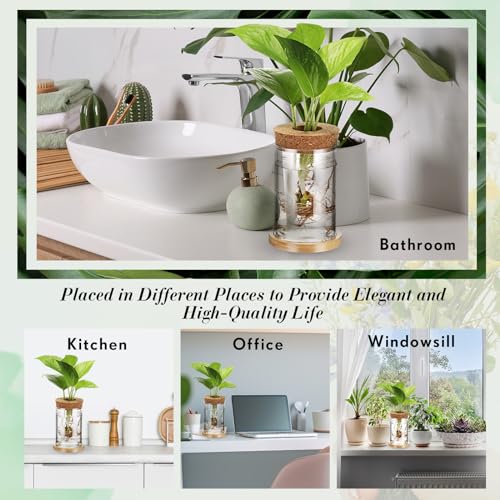 Baderke 12 Packs Plastic Desktop Vase With Hole Lid And Bamboo Stand Plant Propagation Stations Plant Growing In Water Hydroponic Home Office Table Decoration thumb #5