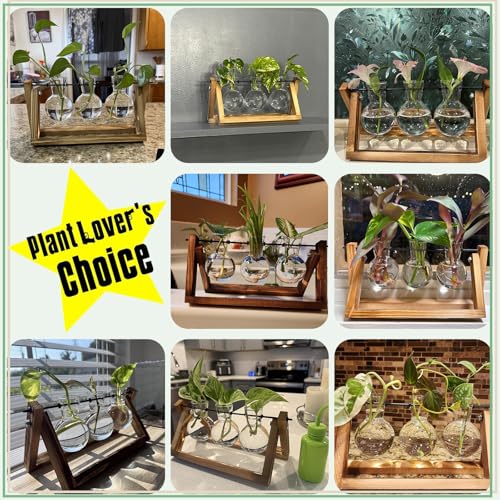 XXXFLOWER Plant Terrarium with Wooden Stand, Air Planter Bulb Glass Vase Metal Swivel Holder Retro Tabletop for Hydroponics Home Garden Office Decoration - 3 Bulb Vase